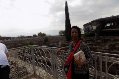 DSCN0467