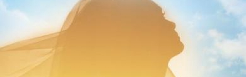 9781498422116_front_cover.jpg